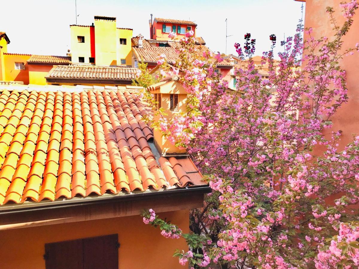 Falcone 22 Bologna Exterior photo